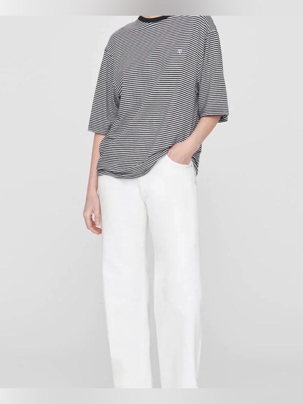 Anine Bing Black and White Striped Crew Neck Tee